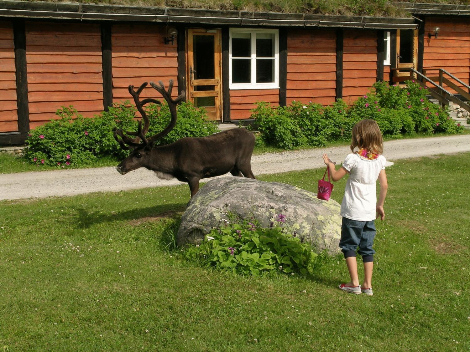 Femundtunet Drevsjo Bagian luar foto